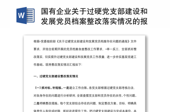 國有企業(yè)關(guān)于過硬黨支部建設和發(fā)展黨員檔案整改落實情況的報告