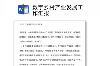 數字鄉村產業發展工作匯報