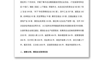 關于集中走訪精準服務民營企業活動匯報材料