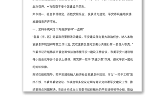 全市扎實(shí)推進(jìn)平安建設(shè)維護(hù)社會(huì)穩(wěn)定工作綜述