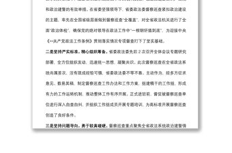 政法委開展政治督察和紀律作風督查巡查工作情況報告