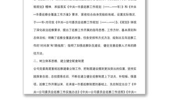 某國(guó)有企業(yè)黨委一屆任期巡察工作總結(jié)報(bào)告