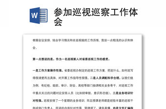 參加巡視巡察工作體會