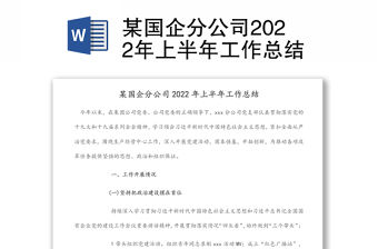 某國企分公司2022年上半年工作總結