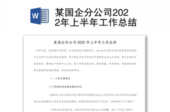 某國企分公司2022年上半年工作總結(jié)