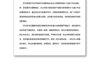 公司紀檢委員落實全面從嚴治黨主體責任情況報告