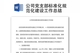公司黨支部標準化規范化建設工作總結