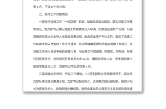 公司黨支部標(biāo)準(zhǔn)化規(guī)范化建設(shè)工作總結(jié)
