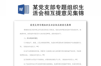 某黨支部專題組織生活會相互提意見集錦