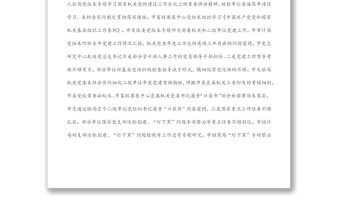 基層黨建專項檢查情況報告