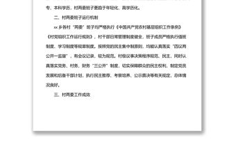 村“兩委”班子運行情況分析研判報告