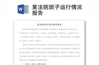 某法院班子運行情況報告
