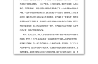 電力企業(yè)安全演講稿