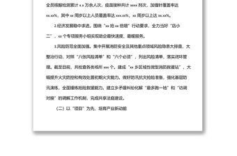 2022年度上半年工作總結及下半年工作思路（鎮鄉）