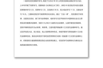 某國(guó)企黨支部2022年上半年黨建工作情況總結(jié)及下半年工作計(jì)劃