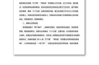 關(guān)于推動(dòng)機(jī)關(guān)黨建“燈下黑”“兩張皮”專(zhuān)項(xiàng)整治工作匯報(bào)（局機(jī)關(guān)）