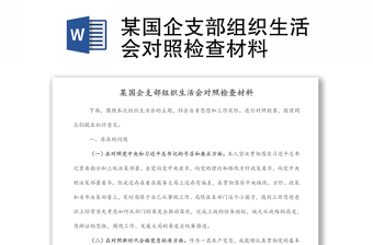 某國(guó)企支部組織生活會(huì)對(duì)照檢查材料