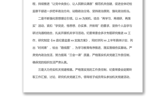 x縣紀(jì)委黨總支2022年上半年黨建工作總結(jié)