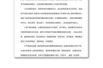 共青團(tuán)xx市xx區(qū)委員會(huì)關(guān)于巡察整改情況報(bào)告