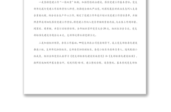 國(guó)企黨支部標(biāo)準(zhǔn)化規(guī)范化建設(shè)工作總結(jié)