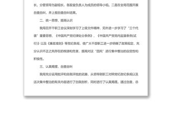 整治四風(fēng)回頭看自查報(bào)告（一）