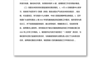 鄉(xiāng)鎮(zhèn)紀(jì)委2022上半年工作總結(jié)及下半年工作計(jì)劃