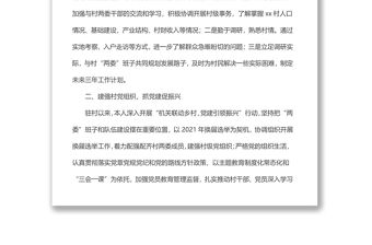 xx鎮(zhèn)xx村駐村第一書記2021年駐村工作總結(jié)