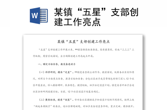 某鎮(zhèn)“五星”支部創(chuàng)建工作亮點(diǎn)