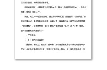2022年興“十風”治“十弊”干部作風專項整治工作情況報告
