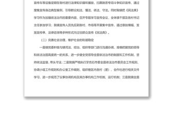 xx鎮2022年上半年依法治市工作總結