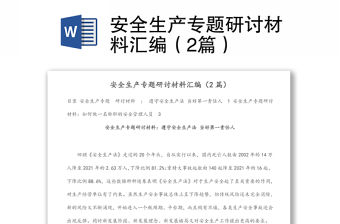 安全生產專題研討材料匯編（2篇）