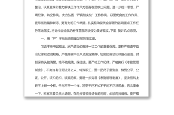 作風建設專題黨課稿：以“嚴真細實快”作風力推藍圖落地