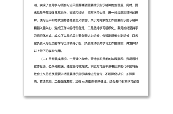 关于贯彻落实习近平总书记重要讲话重要批示指示精神的自查报告