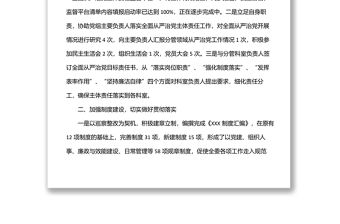 園區(qū)黨委工委書記落實全面從嚴治黨主體責(zé)任情況報告