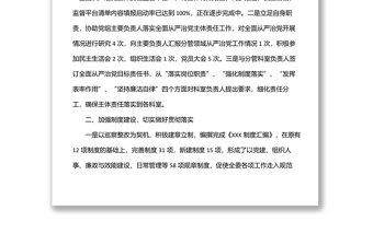 園區(qū)黨委工委書(shū)記落實(shí)全面從嚴(yán)治黨主體責(zé)任情況報(bào)告