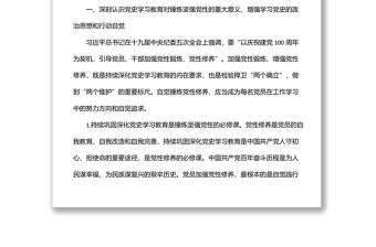 2022年專題黨課：深學(xué)百年黨史 錘煉堅(jiān)強(qiáng)黨性