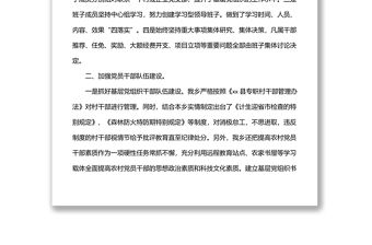 x鄉黨委2022年上半年組織工作總結