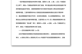 審計(jì)局關(guān)于2022年上半年工作總結(jié)及下半年工作安排的報(bào)告