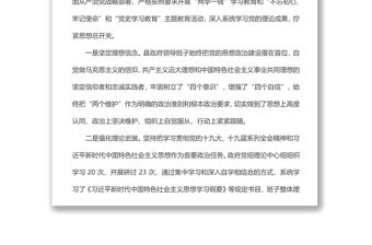 縣政府黨組落實全面從嚴治黨主體責(zé)任情況報告