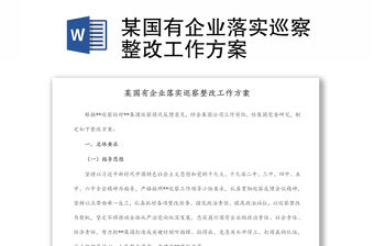 某國(guó)有企業(yè)落實(shí)巡察整改工作方案