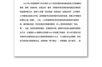 x公司2022年黨支部標準化建設工作總結