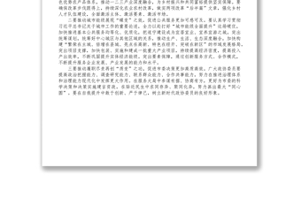 在市政協(xié)聯(lián)組會(huì)上的講話提綱