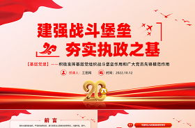 2023強(qiáng)化村級黨組織建設(shè)ppt