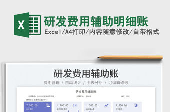 研發(fā)費(fèi)用輔助明細(xì)賬