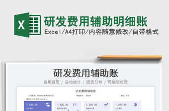 研发费用辅助明细账
