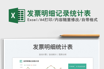 發(fā)票明細記錄統(tǒng)計表