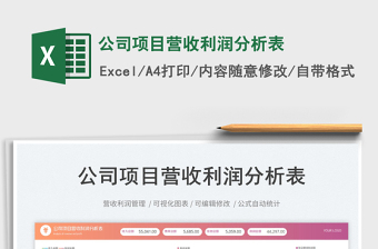 公司項目營收利潤分析表