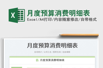 月度預算消費明細表