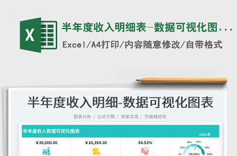 半年度收入明細(xì)表-數(shù)據(jù)可視化圖表