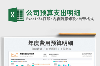 公司預算支出明細